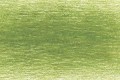 5100 Moss Green.jpg