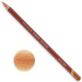 Apricot 0500 kredka i kolor.jpg