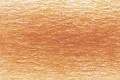 0500 Apricot.jpg