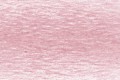 1900 Ash Rose.jpg