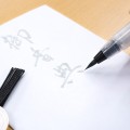 Kuretake Bimoji Cambio USUZUMI MEDIUM SZARY XO50-091B kanji.jpg