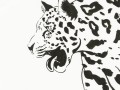 Bimoji Cambio praca przykładowa L roar.jpg