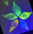 KURETAKE GANSAI TAMBI GRANULATING COLORS - 5kolorów MC20GN5V black light sample2 (with black light).png