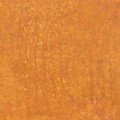Apricot.jpg