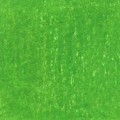 Grass Green 70_.jpg