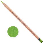 Derwent Lightfast kredka artystyczna GRASS GREEN (70%)