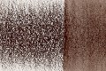 2100-Natural Brown.jpg
