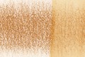 1910-Spice.jpg
