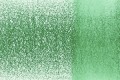 1620-Tropical Rain.jpg