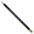 CHROMAQUA - LINCOLN GREEN 1832.jpg