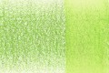 1800-Grass Green.jpg