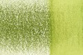 1700-Foliage.jpg