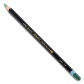 CHROMAQUA - CACTUS 1530.jpg