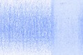 1220-Blue Orchid.jpg