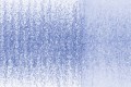 1230-Periwinkle.jpg
