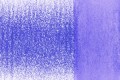 1130-Iris Purple.jpg
