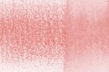 0800-Blush Pink.jpg