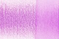 0920-Orchid.jpg