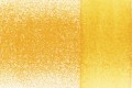 0310-Mango.jpg
