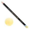 CHROMAQUA - PINEAPPLE 0140 kolor.jpg