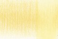 0140-Pineapple.jpg
