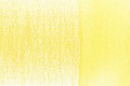 0110-Sunflower.jpg
