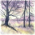 Derwent Graphitint Paint 12 Pan Palette 2305790 (9).JPG